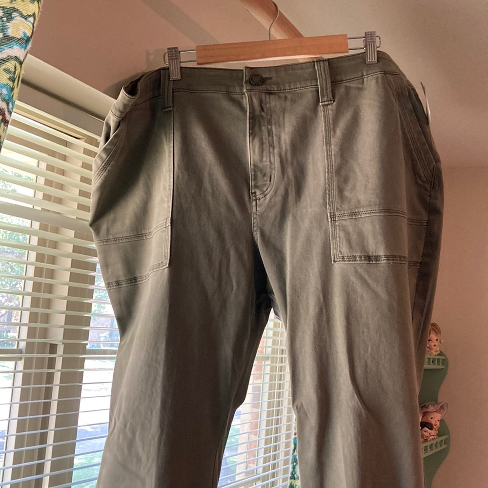 Evri faded green ankle pants